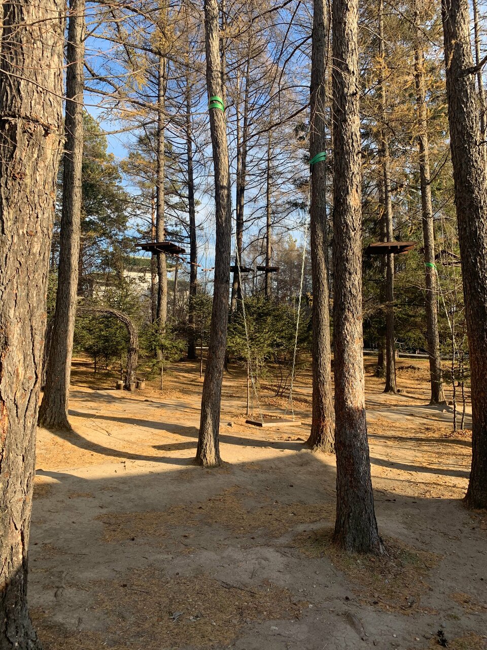 Гостиница Золотой дракон Благовещенск-62