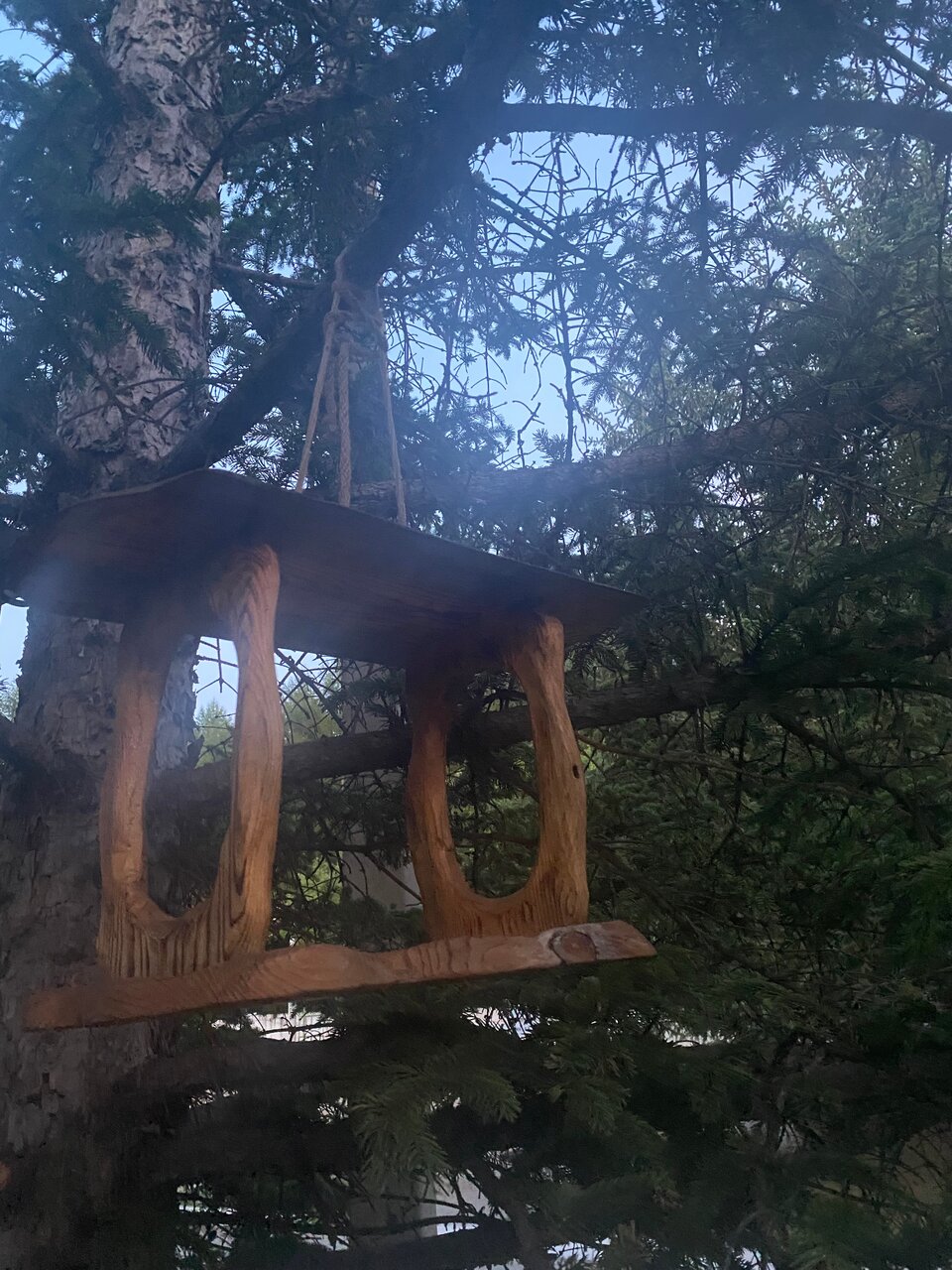 Гостиница Золотой дракон Благовещенск-55