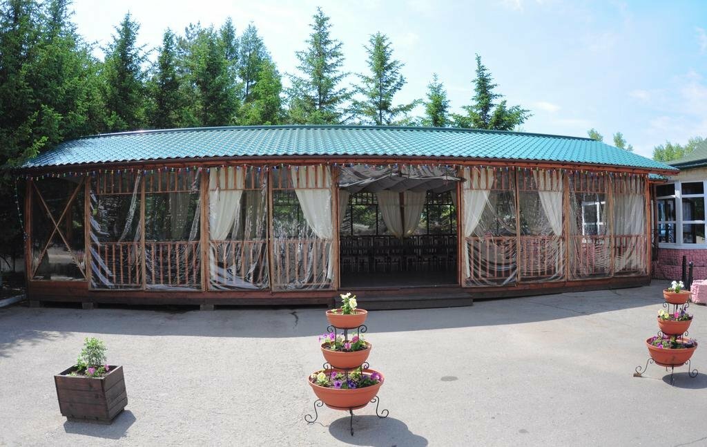 Гостиница Золотой дракон Благовещенск-205