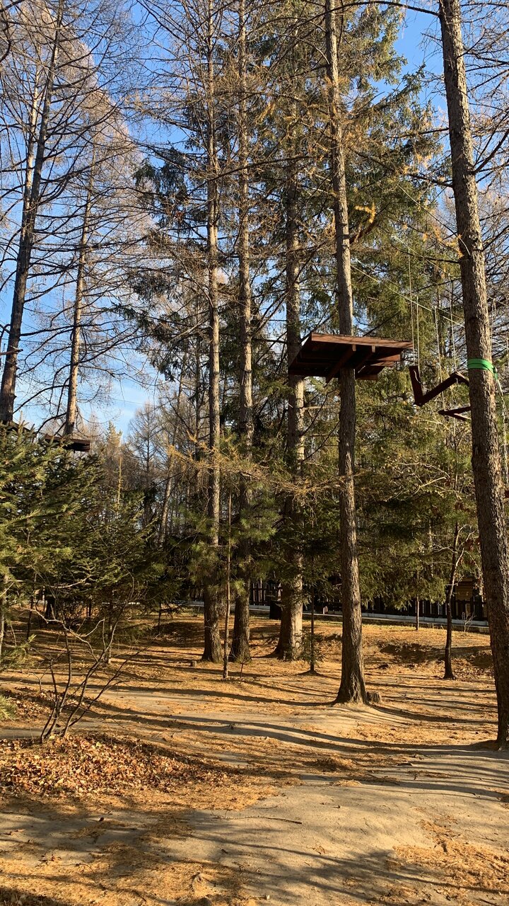 Гостиница Золотой дракон Благовещенск-76