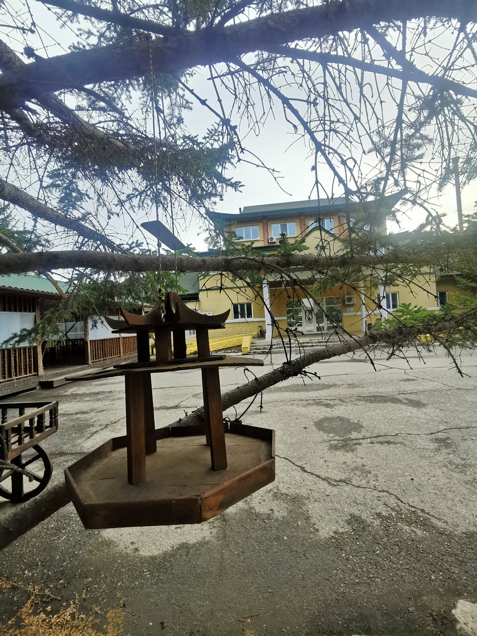 Гостиница Золотой дракон Благовещенск-48