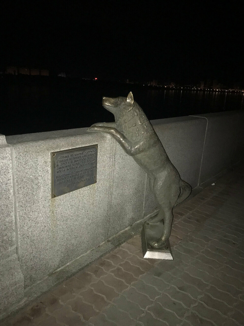 Гостиница Золотой дракон Благовещенск-91