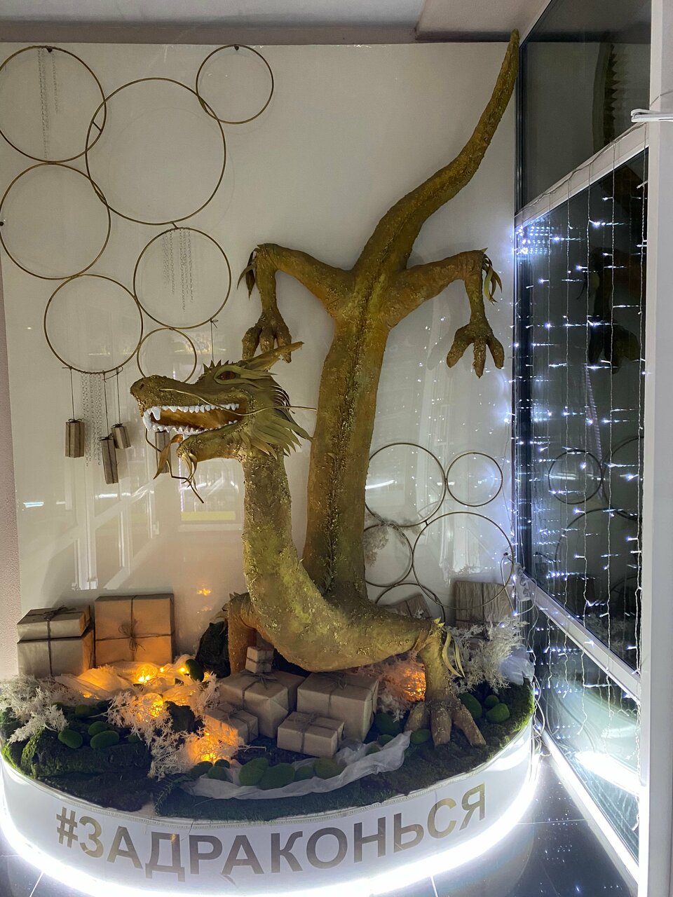 Гостиница Золотой дракон Благовещенск-68