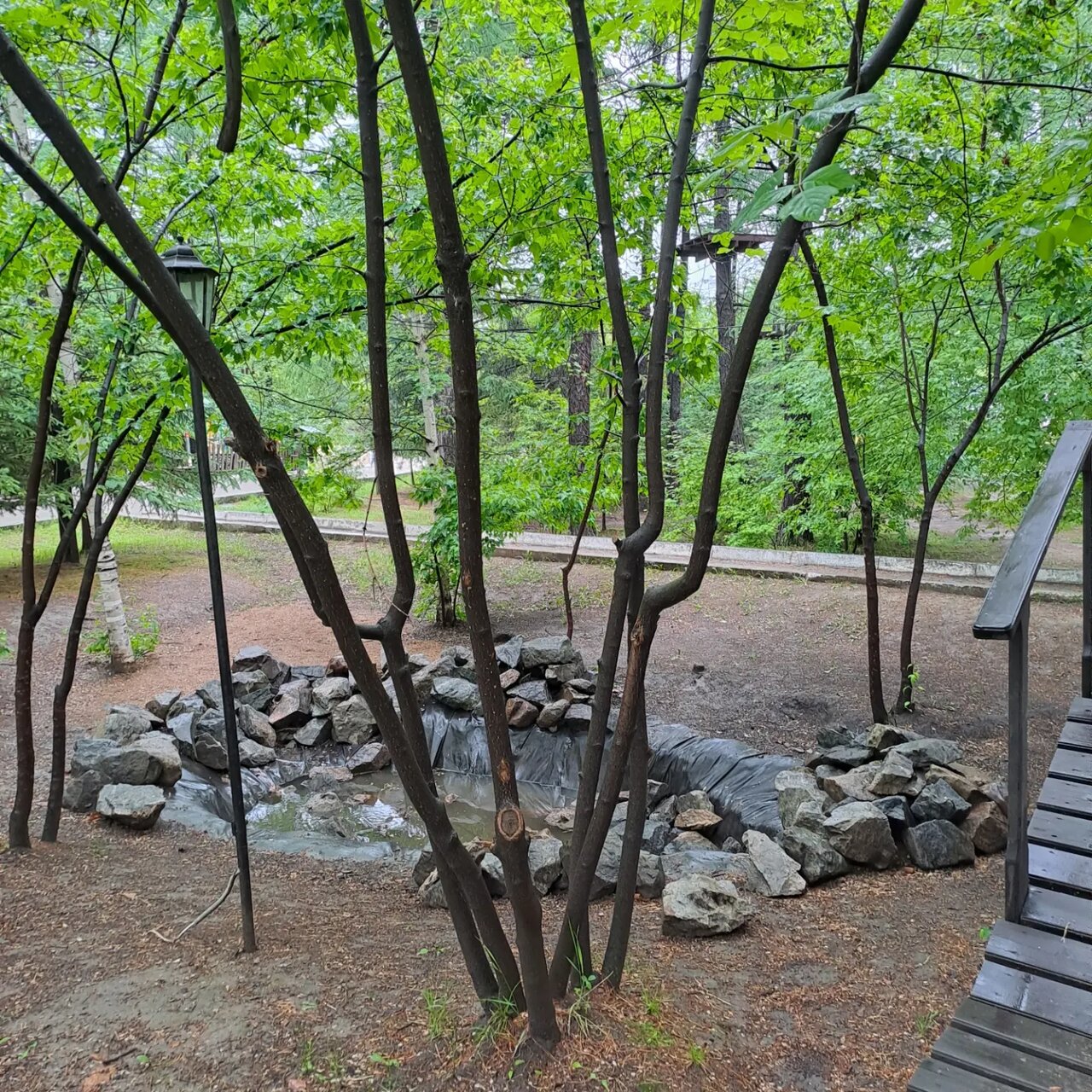 Гостиница Золотой дракон Благовещенск-99