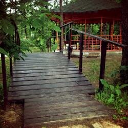 Гостиница Золотой дракон Благовещенск-196