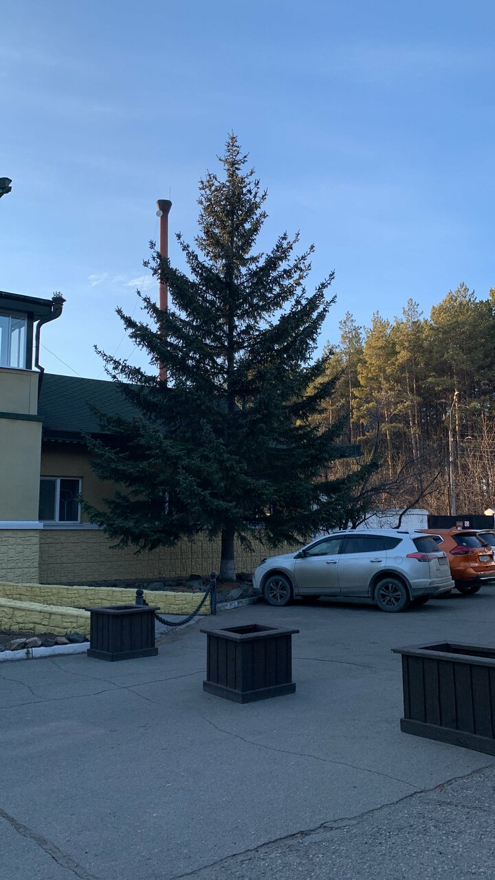 Гостиница Золотой дракон Благовещенск-65