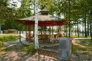 Гостиница Золотой дракон Благовещенск-3