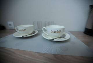 Гостиница Золотой дракон Благовещенск Улучшенный номер с кроватью размера «queen-size»-4