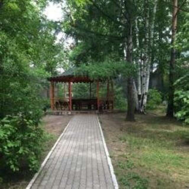 Гостиница Золотой дракон Благовещенск-241