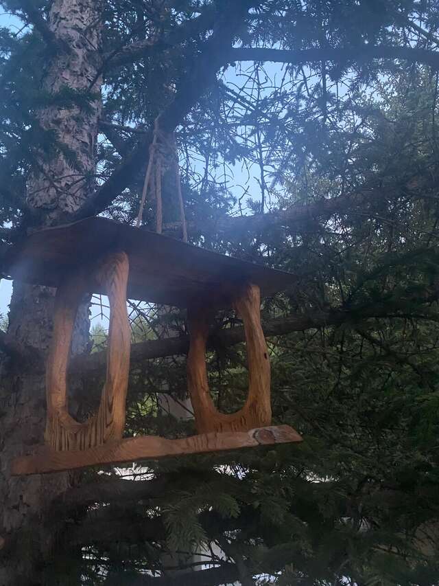 Гостиница Золотой дракон Благовещенск-54