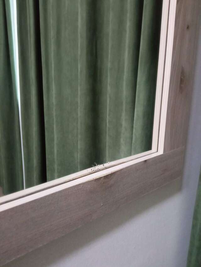 Гостиница Золотой дракон Благовещенск-228