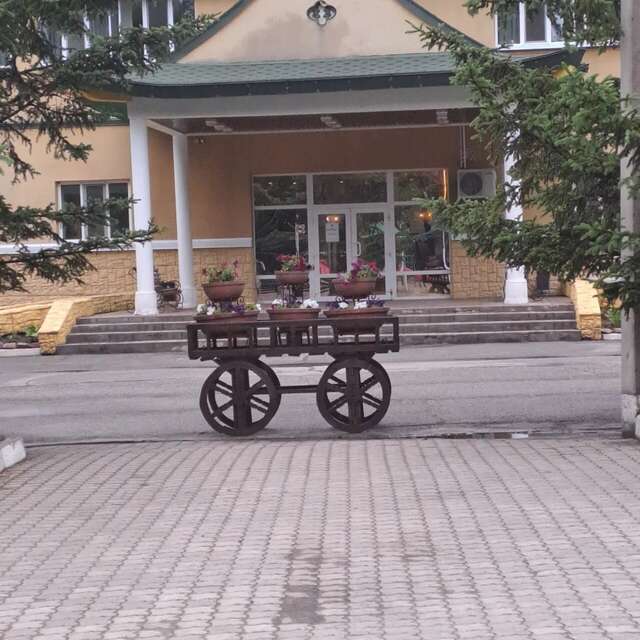 Гостиница Золотой дракон Благовещенск-100