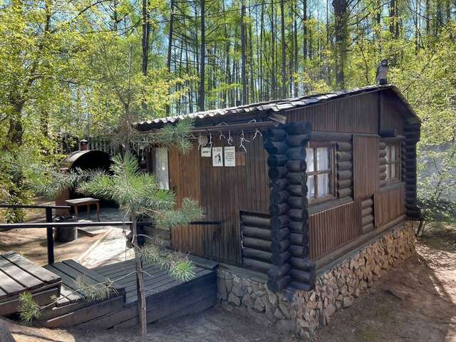 Гостиница Золотой дракон Благовещенск-185