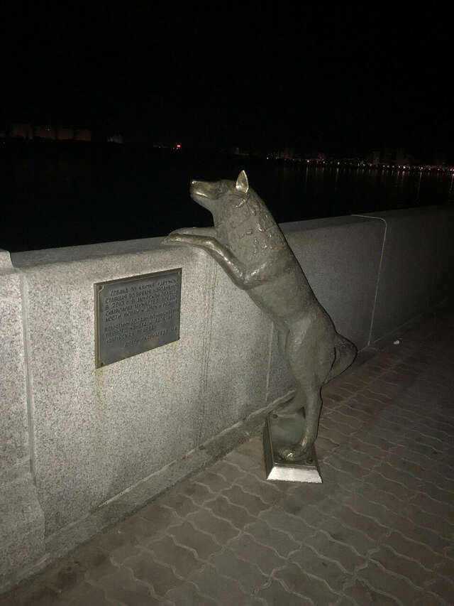 Гостиница Золотой дракон Благовещенск-90