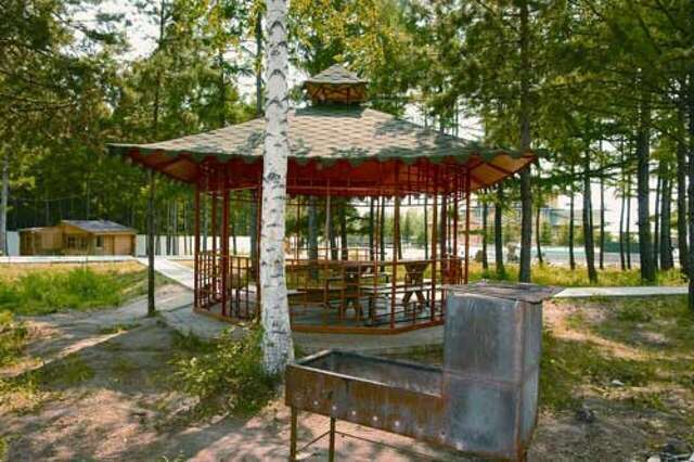 Гостиница Золотой дракон Благовещенск-6