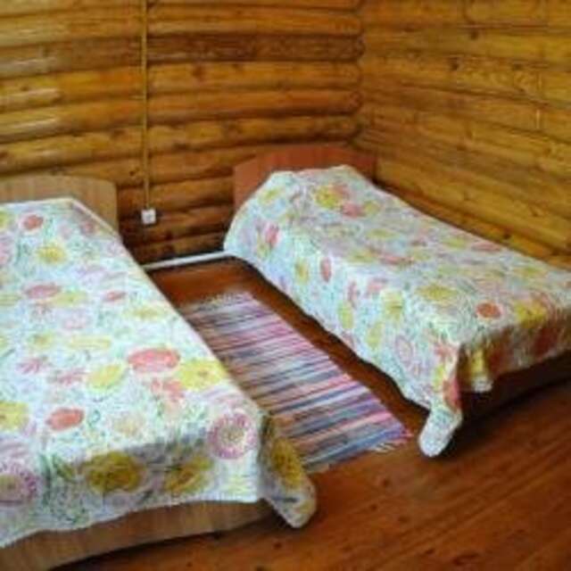 Гостиница Золотой дракон Благовещенск-238