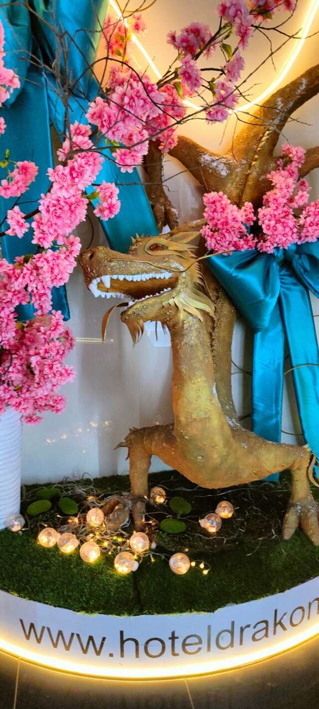 Гостиница Золотой дракон Благовещенск-161