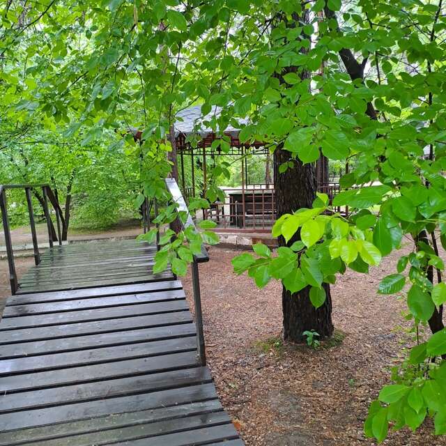 Гостиница Золотой дракон Благовещенск-93