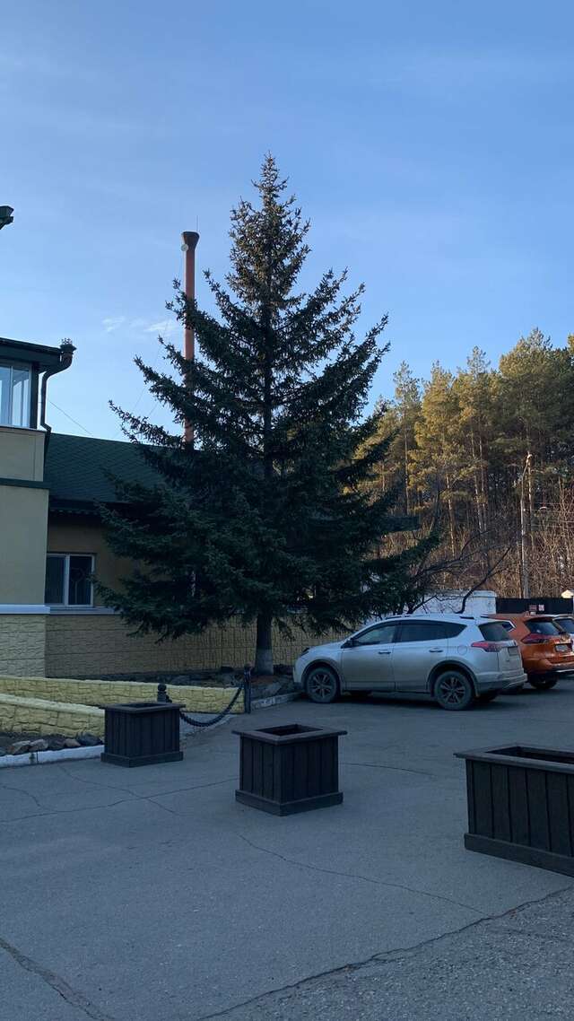 Гостиница Золотой дракон Благовещенск-64