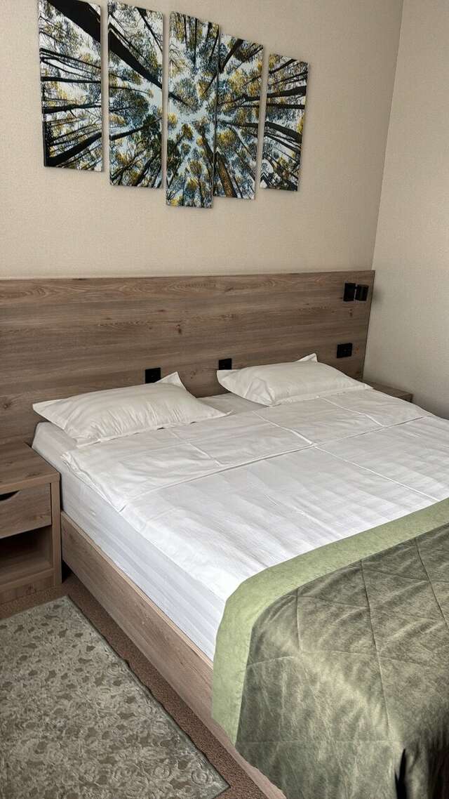 Гостиница Золотой дракон Благовещенск-209