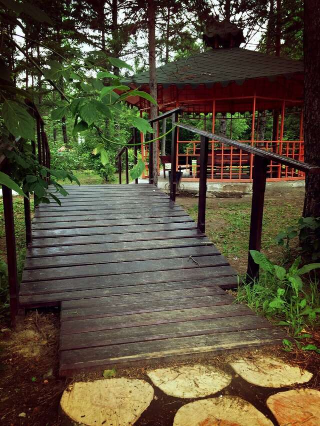 Гостиница Золотой дракон Благовещенск-106